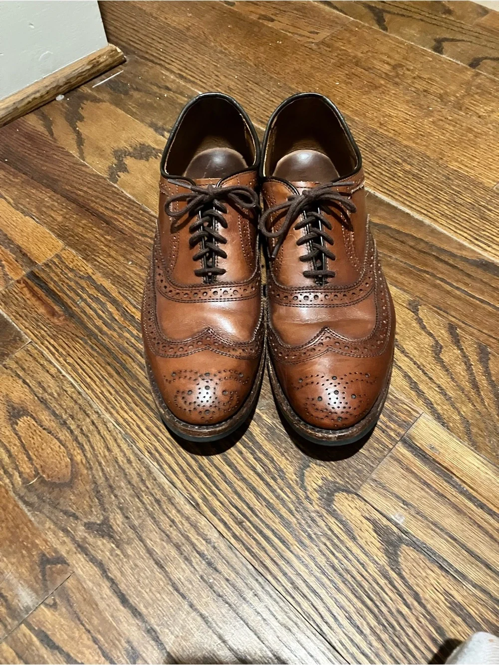 Classic Dark Brown Allen Edmond men's shoes